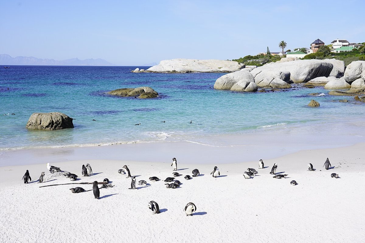 Boulders Beach